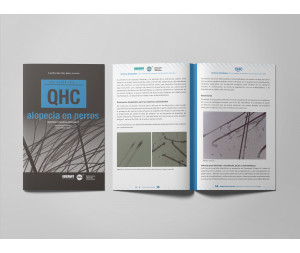 Revista QHC Alopecia -Colecciones
