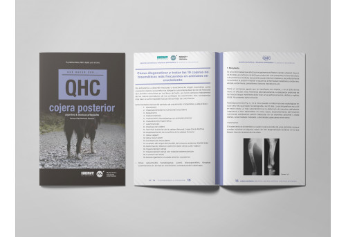 Revista QHC Cojera posterior -Que Hacer Con... veterinaria