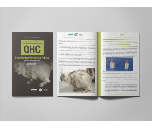 Revista QHC Insulinorresistencia felina