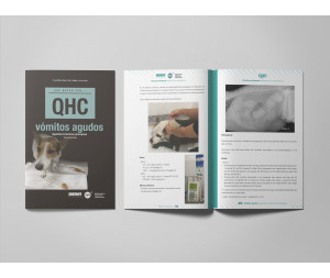 Revista QHC vómitos agudos