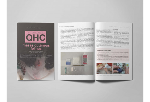 Revista QHC Masas cutáneas felinas -Que Hacer Con... veterinaria