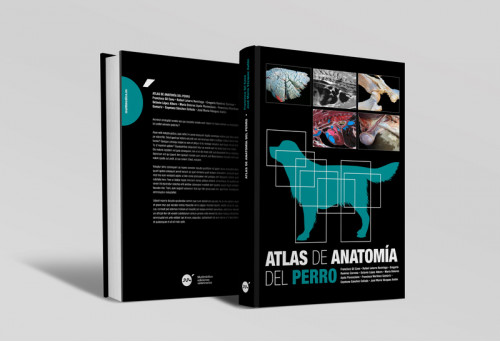 Atlas de anatomía del perro -Libros de referencia veterinaria