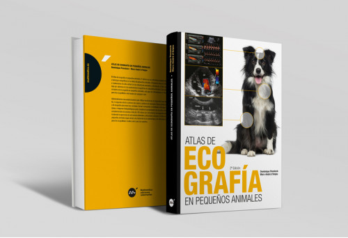 Atlas de ecografía en pequeños animales, 2ª edición -Libros de referencia veterinaria